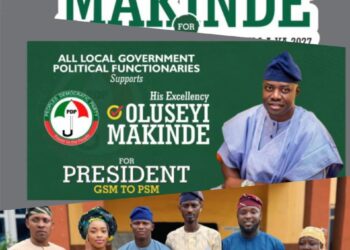 All Local Government Political Functionaries Endorse Engr. Seyi Makinde for President 2027