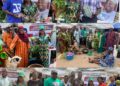 World Food Day: Ibadan North LG Farmers Shine at Oyo State Exhibition