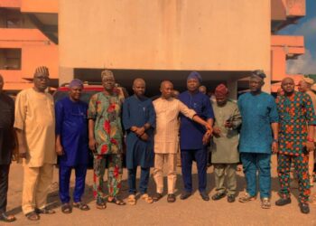 Oke Ogun LG Chairmen, Appointees Pass Vote Of Confidence On Makinde.     … Say PDP Remain Strong Despite Hosea Agboola’s Defection