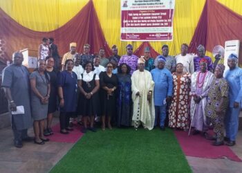 Tinubu’s Trip Cancellation: An Exemplar of Tokenism