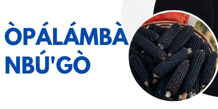 Òpálámbà nbu’go : A Quest for Dryness and Creativity in Nigeria- Basòrun Onítàn Ìbàdàn