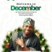 Engr. Toheeb Adegoke Welcomes Akinyele/Lagelu Into a Pivotal December*