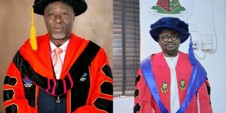 Two arrested with narcotic as Olatunji leads joint security taskforce against criminal elements in Oluyole LG