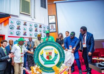 Agribusiness Summit 2025: Makinde Unveils “Grown in Oyo State” Seal for Oyo-Grown Products  Says Dr. Debo Akande DBA, CMGR, FCMI