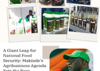 A Giant Leap for National Food Security: Makinde’s Agribusiness Agenda Sets the Pace