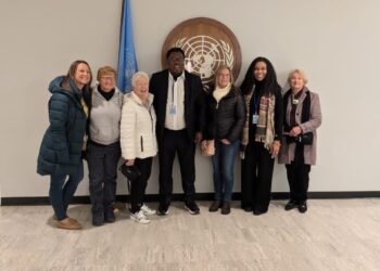 CSCHEI Commends Federal Government’s Alignment with UN Global Agenda