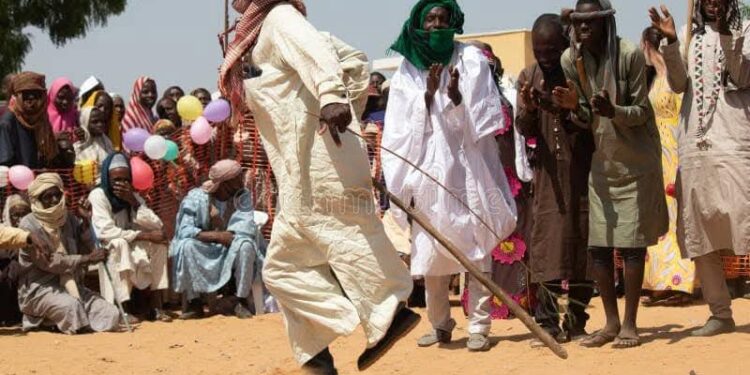 Ado-Awaye Youths Raise Alarm, Warn Against Planned Fulani Chieftaincy Titles Amid Security Concerns