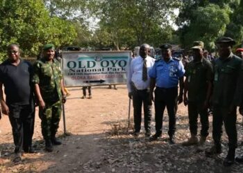 Seven Arrested Over Deadly Attack on Old Oyo National Park