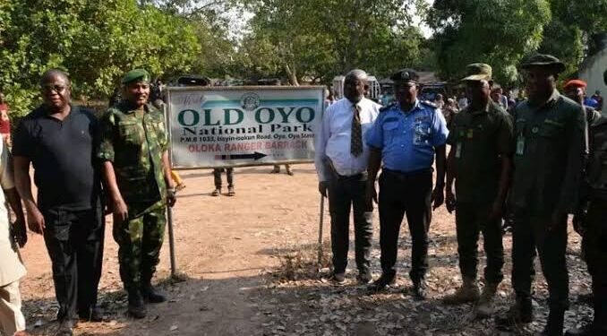 Seven Arrested Over Deadly Attack on Old Oyo National Park