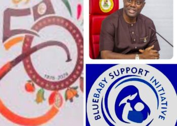 Oyo @50: Bluebaby Support Initiative Sends Solidarity Message to Oyo People, Hails Makinde’s Leadership