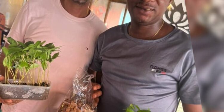 Environmental Partnership Deepens as Ibarapa Central Receives Mahogany Boost.