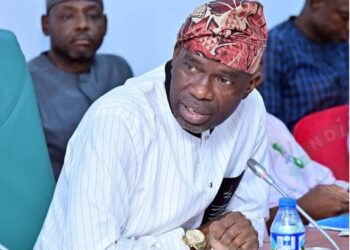 NDLEA Budget: Agboworin Says N75.6bn Cannot Tackle Nigeria’s Drug Crisis, Warns Of Looming Security Crisis