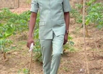 Agriculture: Solution to hunger, inflation, food insecurity – By Dr. Akande Kazeem Babatunde, mni