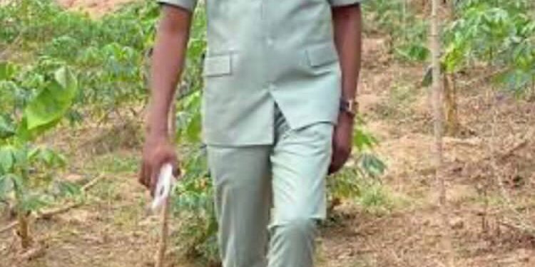 Agriculture: Solution to hunger, inflation, food insecurity – By Dr. Akande Kazeem Babatunde, mni