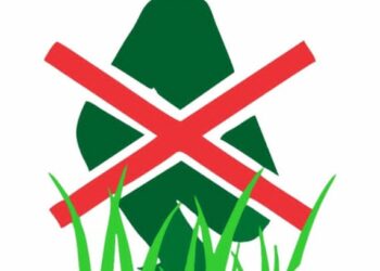 Oloye Adegoke Lauds Oba Ladoja on Inauguration of Ibadan Community Guard & Unveiling of ‘Garri Ibadan’