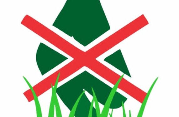 Oloye Adegoke Lauds Oba Ladoja on Inauguration of Ibadan Community Guard & Unveiling of ‘Garri Ibadan’