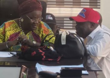 You Are a Trailblazer, Oyo LGSPB Boss, Ige Celebrates Rt. Hon. Senator Monsurat Sunmonu on Her Birthday