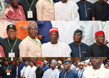 Engr Kolawole Sheu Adedeji Commends Makinde’s Courageous Stand for Democratic Integrity, Calls for Collective Defense of Nigeria’s Democracy