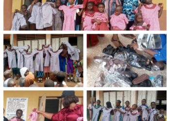 Prof Akande picks forms for Oyo North Senatorial race