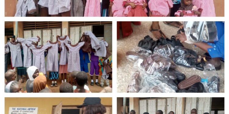 Prof Akande picks forms for Oyo North Senatorial race