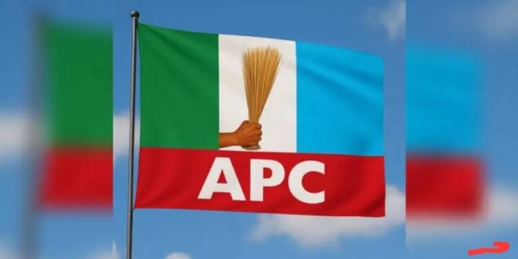 Do not Hand Oyo North to the Opposition – Apc Youth Oke Ogun to APC Leaders