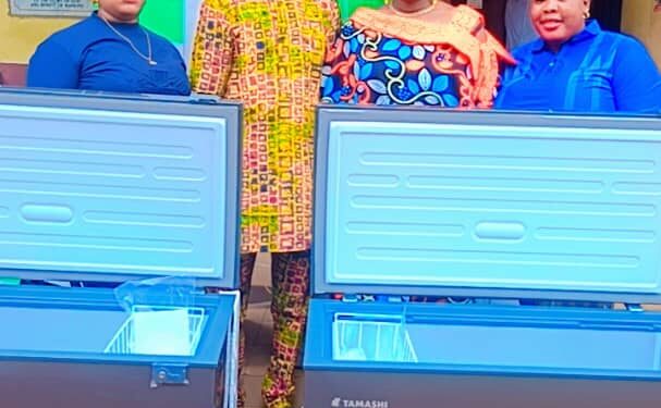 IBSWLG: Olusanya Faseha Atinuke and Olaleye Kehinde Taiwo Express Gratitude to Hon. Kehinde Akande for Freezer Donations