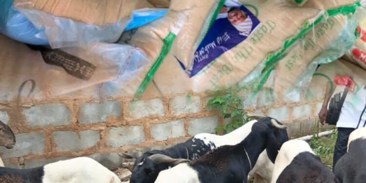 Eid-el-Kabir: KSA Distributes Rams, Food Items to Residents in Ido/ Ibarapa