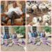 Sallah: Open Salawu Donates Cash, Food Items To Ogbomoso LGAs, Distributes Rams Across Oyo
