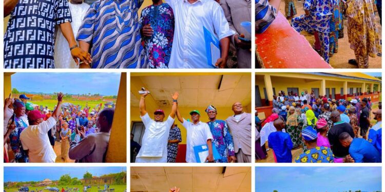 *Ibarapakan, Akorede Emerge APM Candidates in Unopposed Primaries in Ibarapa*