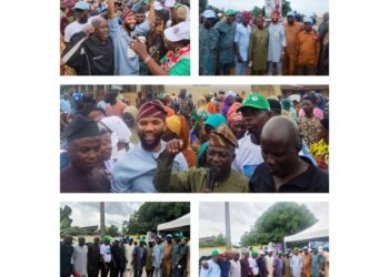 *APM Primary: Olabisi Jimoh Adisa Wins Oorelope State Constituency Assembly Ticket*