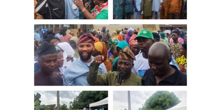 *APM Primary: Olabisi Jimoh Adisa Wins Oorelope State Constituency Assembly Ticket*