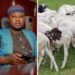 *Eid-el-Kabir: Wale Canada Celebrates Muslim Faithful, Calls for Unity, Sacrifice and Inclusive Development* 