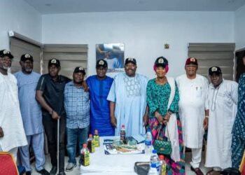 ‘Stop the False Claims’: South-West APC Denies Backing Alli