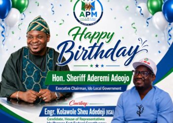 *’I Am Grateful’ – Agboworin Reacts To Birthday Wishes, Thanks Gov Makinde, Deputy, Top Government Functionaries, Other Office Holders*