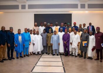 Tegbe Calls for Stronger Harmonization between National and State Regulators as Power Sector Reforms Deepen