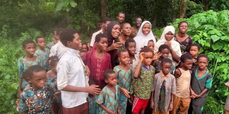 Just In: Kidnapped Oriire pupils, teachers freed after 50 days in captivity