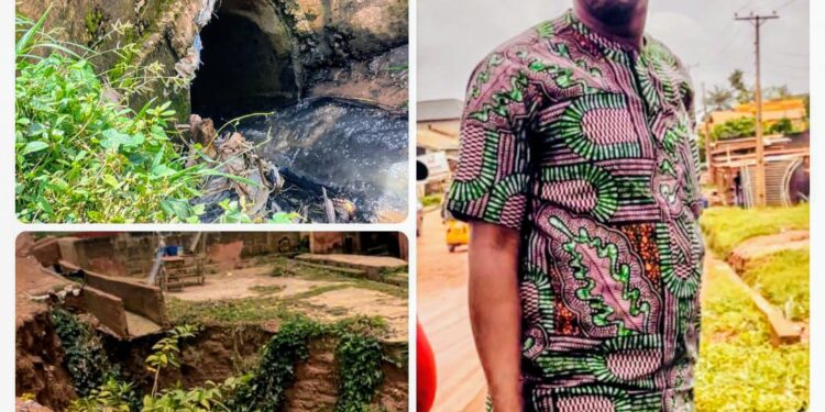 Just In: Kidnapped Oriire pupils, teachers freed after 50 days in captivity