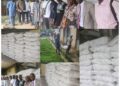 Oyo Govt Begins Distribution of First Batch of 1,000 SAfER Rice Bags to Vulnerable Youth Groups