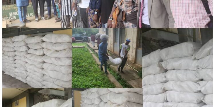 Oyo Govt Begins Distribution of First Batch of 1,000 SAfER Rice Bags to Vulnerable Youth Groups