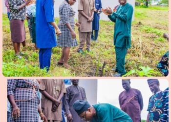 FUNATO Expands Green Initiative As VC Leads Tree-Planting Campaign At Technology Campus