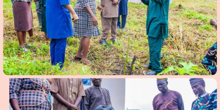 FUNATO Expands Green Initiative As VC Leads Tree-Planting Campaign At Technology Campus