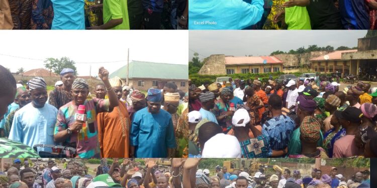 *APM Unveils Adeleke, Babarinde, Ten Councillorship Candidates for 2026 LG Polls*