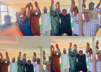 APM Affirms Owonifaari as Chairman, Oladepo as Vice Chairman for Ibadan South East LG Election