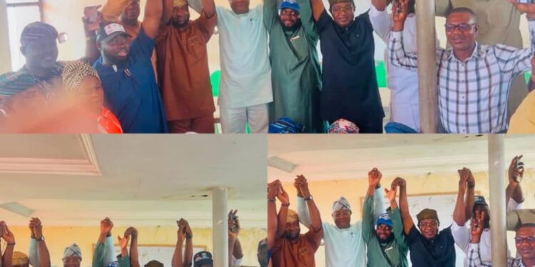 APM Affirms Owonifaari as Chairman, Oladepo as Vice Chairman for Ibadan South East LG Election