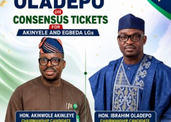 APM Affirms Owonifaari as Chairman, Oladepo as Vice Chairman for Ibadan South East LG Election
