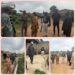 PHOTOS: Dr. Ife Akande Hits the Ground Running, Visits Communities Affected by Airport Runoff