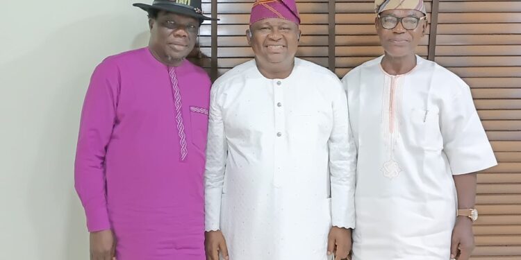 2027: PDP Bleeds As Ogun Leaders Rally Behind Yayi – Odunaro