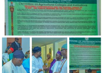 Rejoinder: Setting the Record Straight on Hon. Akeem Adeyemi and the Federal University of Agriculture Project