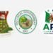 Ido APM Stakeholders Endorse Mabaje for Chairmanship, Disregard Fake Aspirants
