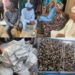 Oranyan Inferno: Agboworin Visits Market, Donates Building Materials For Reconstruction, Sympathizes With Traders